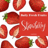 Illustrazione disegnata a mano della frutta Elemento dolce della fragola Schizzo di vettore per la carta o il manifesto royalty illustrazione gratis Illustrazione disegnata a mano della frutta Elemento dolce della fragola Schizzo di vettore per la carta o il manifesto royalty illustrazione gratis