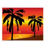 Illustrazione tirata tropicale dell'isola di palma di Paradise royalty illustrazione gratis Illustrazione tirata tropicale dell'isola di palma di Paradise royalty illustrazione gratis