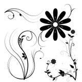 illustrerade svarta blommor stock illustrationer illustrerade svarta blommor stock illustrationer