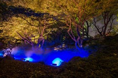 Iluminações sazonais no jardim de Rikugien fotografia de stock Iluminações sazonais no jardim de Rikugien fotografia de stock