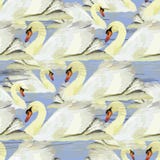 Ilustracja bezszwowy wzór z białym łabędź na błękitnym backgro ilustracja wektor Ilustracja bezszwowy wzór z białym łabędź na błękitnym backgro ilustracja wektor