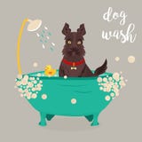 Ilustracja pies bierze prysznic ilustracja wektor Ilustracja pies bierze prysznic ilustracja wektor