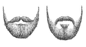 Ilustração da barba, desenho, gravura, tinta, linha arte, vetor ilustração royalty free Ilustração da barba, desenho, gravura, tinta, linha arte, vetor ilustração royalty free