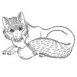 Ilustração do vetor do a lápis preto e branco de encontro molde da raposa do desenho para a gravação, o bordado, queimando-se em ilustração stock Ilustração do vetor do a lápis preto e branco de encontro molde da raposa do desenho para a gravação, o bordado, queimando-se em ilustração stock