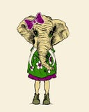 Ilustração dos desenhos animados do elefante, gráfico do t-shirt ilustração do vetor Ilustração dos desenhos animados do elefante, gráfico do t-shirt ilustração do vetor