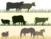 Ilustração horizontal de animais de estimação da exploração agrícola. ilustração stock Ilustração horizontal de animais de estimação da exploração agrícola. ilustração stock