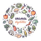 Ilustração orgânica lisa do vetor dos vegetais com um lugar para o texto ou a rotulação ilustração royalty free Ilustração orgânica lisa do vetor dos vegetais com um lugar para o texto ou a rotulação ilustração royalty free