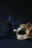 Image of black elegant venetian mask on glitter background royalty free stock photography Image of black elegant venetian mask on glitter background royalty free stock photography