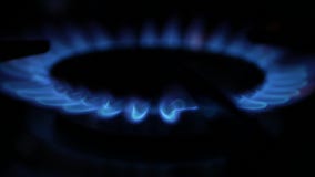 Image de brûleur de fourneau de cuiseur dans l'obscurité avec les flammes bleues grimpant de petit jusqu'à grand banque de vidéos Image de brûleur de fourneau de cuiseur dans l'obscurité avec les flammes bleues grimpant de petit jusqu'à grand banque de vidéos