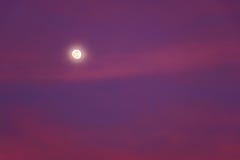 Beautiful Background with The Full Moon Shining in Pink Sky at Dusk stock photos Beautiful Background with The Full Moon Shining in Pink Sky at Dusk stock photos