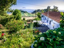 Image of landscape in the foreground and the mountain of Pico in the background stock photos Image of landscape in the foreground and the mountain of Pico in the background stock photos