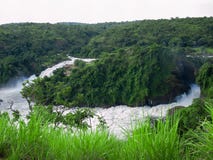 Image modifiée la tonalité de cascade majestueuse en parc Murchison Falls en Ouganda dans la perspective de la jungle image stock Image modifiée la tonalité de cascade majestueuse en parc Murchison Falls en Ouganda dans la perspective de la jungle image stock