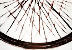 The image is one wide arcline and many intersecting thin lines. stock photo The image is one wide arcline and many intersecting thin lines. stock photo