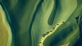 Aerial image of many trees on wheat fields in Washington stock photography Aerial image of many trees on wheat fields in Washington stock photography