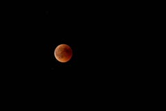 Image superbe de téléobjectif de l'éclipse lunaire de lune superbe de sang bleu images stock Image superbe de téléobjectif de l'éclipse lunaire de lune superbe de sang bleu images stock