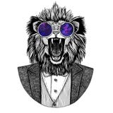 Image tirée par la main animale de Lion Hipster pour le tatouage, emblème, insigne, logo, correction, T-shirt illustration stock Image tirée par la main animale de Lion Hipster pour le tatouage, emblème, insigne, logo, correction, T-shirt illustration stock
