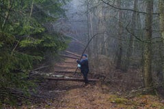 Image of a woman asking if she can follow a path that is obstructed by fallen tree trunks stock photo Image of a woman asking if she can follow a path that is obstructed by fallen tree trunks stock photo