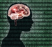 Imagen de la radiografía de la cabeza humana con código binairy y un cerebro stock de ilustración Imagen de la radiografía de la cabeza humana con código binairy y un cerebro stock de ilustración