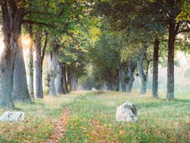 Imagen del callejón en otoño durante puesta del sol fotografía de archivo libre de regalías Imagen del callejón en otoño durante puesta del sol fotografía de archivo libre de regalías