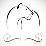 Imagen del vector de un león femenino Imágenes de archivo libres de regalías Imagen del vector de un león femenino Imágenes de archivo libres de regalías