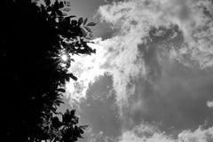 Images noires et blanches, le soleil brillant vers le bas photo libre de droits Images noires et blanches, le soleil brillant vers le bas photo libre de droits