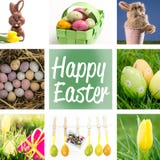 Immagine composita delle uova di Pasqua colourful macchiate in un canestro di vimini verde Fotografie Stock Libere da Diritti Immagine composita delle uova di Pasqua colourful macchiate in un canestro di vimini verde Fotografie Stock Libere da Diritti