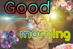 Immagine di buongiorno illustrazione vettoriale Immagine di buongiorno illustrazione vettoriale