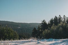 Immagine scenica dell'albero degli abeti rossi Giorno gelido, scena invernale calma Stazione sciistica Grande immagine di area se immagini stock Immagine scenica dell'albero degli abeti rossi Giorno gelido, scena invernale calma Stazione sciistica Grande immagine di area se immagini stock
