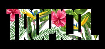 Impresión con las hojas y las flores tropicales Ramas de las palmas, flor de la ave del paraíso, hibisco libre illustration Impresión con las hojas y las flores tropicales Ramas de las palmas, flor de la ave del paraíso, hibisco libre illustration