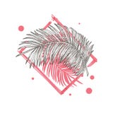 Impresión de la tipografía con las hojas tropicales Vector dibujado mano del marco para la impresión de la camiseta Fotografía de archivo libre de regalías Impresión de la tipografía con las hojas tropicales Vector dibujado mano del marco para la impresión de la camiseta Fotografía de archivo libre de regalías