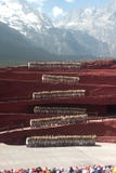 Impressione Lijiang nel Yunnan della Cina. fotografia stock libera da diritti Impressione Lijiang nel Yunnan della Cina. fotografia stock libera da diritti