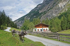 In The Stubai Mountains In Tyrol, Austria Stock Photos
