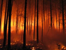 Incendie de forêt Incendie de forêt