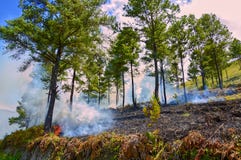 Incendio forestal en el lago Toba, Indonesia imagen de archivo libre de regalías Incendio forestal en el lago Toba, Indonesia imagen de archivo libre de regalías