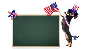 Independence day 4th of july dog Stock Images Independence day 4th of july dog Stock Images