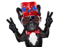 Independence day 4th of july dog Stock Images Independence day 4th of july dog Stock Images