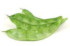 Indian Bean Stock Image Indian Bean Stock Image