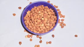 Indian desi best Quality Black Organic Chickpeas stock photography Indian desi best Quality Black Organic Chickpeas stock photography