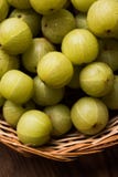 Indian gooseberry or Amla or avla fruit, selective focus royalty free stock photos Indian gooseberry or Amla or avla fruit, selective focus royalty free stock photos