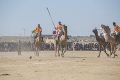 Indian men play camel polo at Desert Festival in Jaisalmer, Rajasthan, India