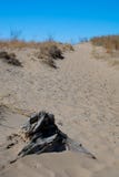 Indiana diun obywatel Lakeshore zdjęcia stock Indiana diun obywatel Lakeshore zdjęcia stock