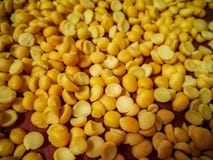 Indianin Dal, kolorów żółtych rozszczepeni grochy zamyka w górę zdjęcia royalty free Indianin Dal, kolorów żółtych rozszczepeni grochy zamyka w górę zdjęcia royalty free