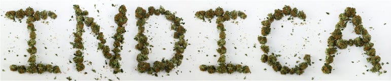 Indica som stavas med marijuana royaltyfri bild Indica som stavas med marijuana royaltyfri bild