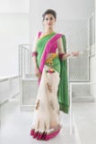 Indische Frau, die traditionellen Saree trägt stockbild Indische Frau, die traditionellen Saree trägt stockbild