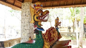 Indonesischer Drache 4k stock video footage Indonesischer Drache 4k stock video footage