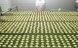 Industria alimentare nuovi 5 fotografia stock libera da diritti Industria alimentare nuovi 5 fotografia stock libera da diritti