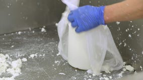 Industrie de production de fromage Les travailleurs de laiterie se ferment vers le haut de pr?parer la p?te crue de fromage dans banque de vidéos Industrie de production de fromage Les travailleurs de laiterie se ferment vers le haut de pr?parer la p?te crue de fromage dans banque de vidéos