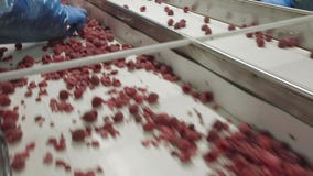 Industrielle Verarbeitung von gefrorenen Himbeeren Industrielle Verarbeitung von gefrorenen Himbeeren