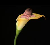 Infant Baby Girl Inside Royalty Free Stock Photos