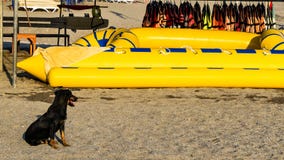 Inflatable yellow boat, life vests royalty free stock image Inflatable yellow boat, life vests royalty free stock image